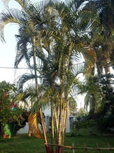 Hostal Mahadev Guest House