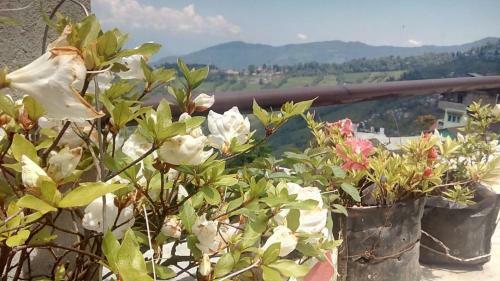 Madys View -aaple Ghar