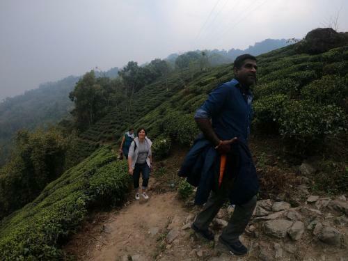 Travellers Homestay-offbeat Destination