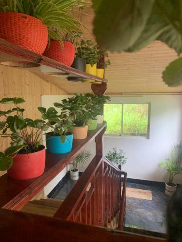 Lamahatta Village Resort