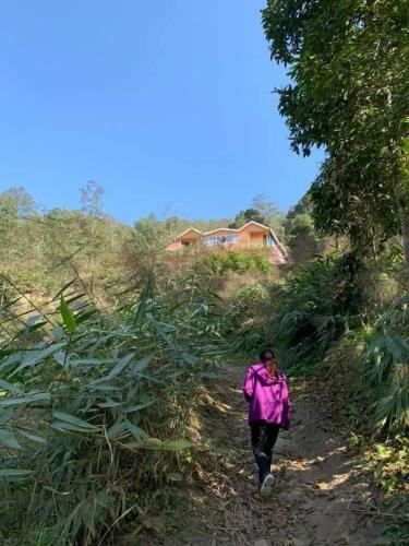 Lamahatta Village Resort