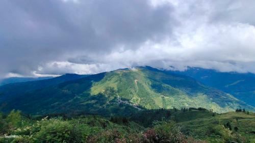 Sharma Homestay