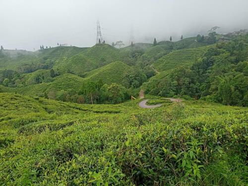 Theeng's Homestay(Mirik)