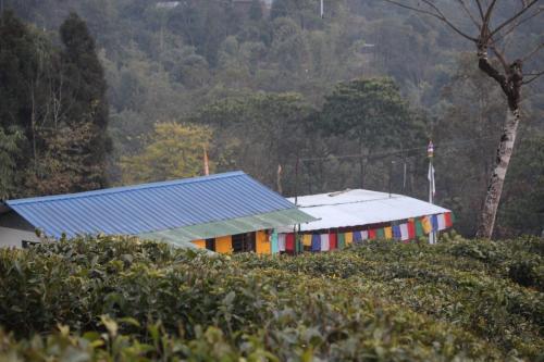 Theeng's Homestay(Mirik)