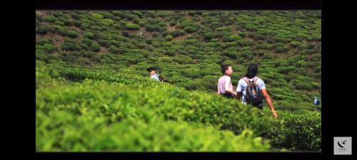 Theeng's Homestay(Mirik)