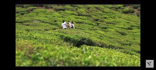 Theeng's Homestay(Mirik)