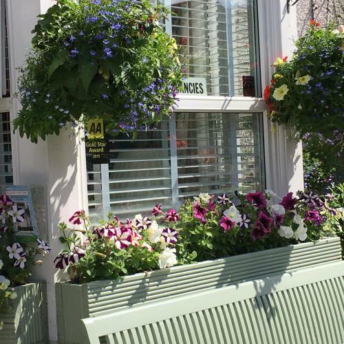 Hostal Birchleigh Guest House