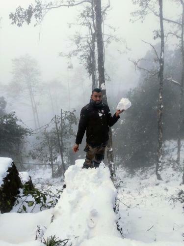 Solitude In Himalayas, Cottage