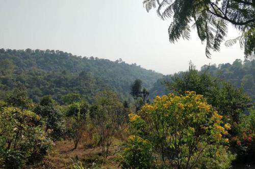 Ammasari On The Rispana