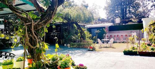 Apartamento Olive Greens Homestay