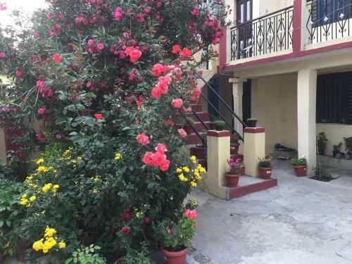 Katyuri Kings Village Homestay