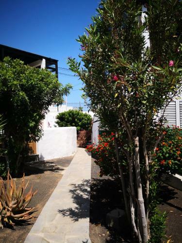 Apartamento Casa Para Ti - Botanica