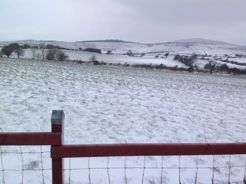 Brynhaul Bed And Breakfast