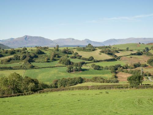 Cefn Bach
