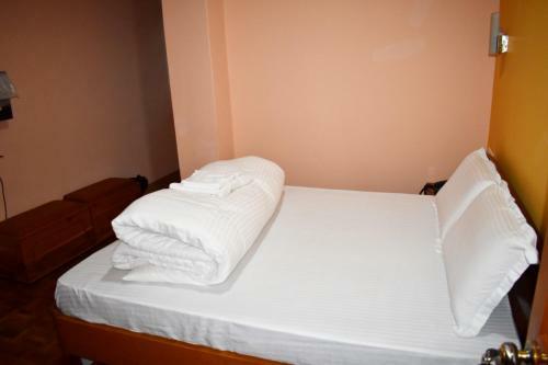 Hotel Alpine Guest House