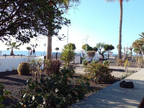 Chalet N� 7 Tajinaste