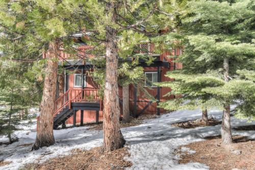 Tranquil Tahoe
