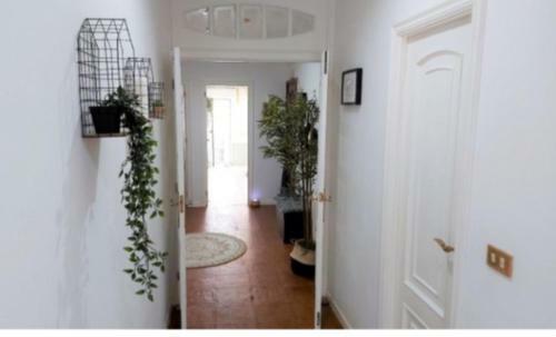 Apartamento Piso Grande Con Terraza