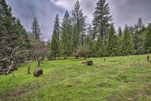 Charming And Pet-friendly Pine Grove Retreat!
