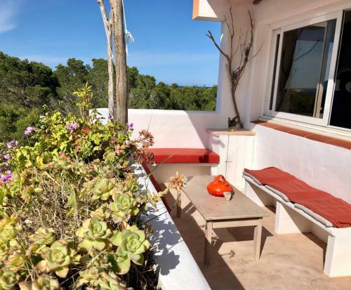 Apartamento �tico Rex II