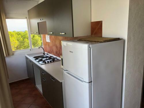 Apartamento �tico Rex II
