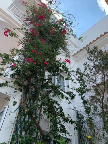 Apartahotel Arcos de Formentera