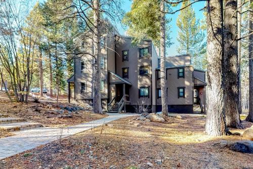 Truckee Treat