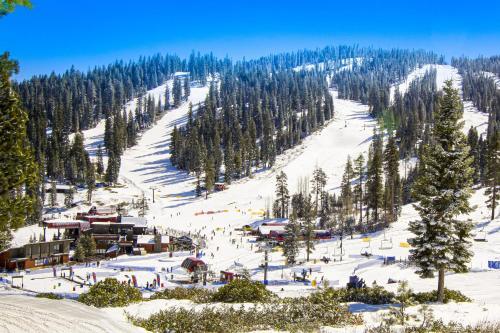Truckee Treat
