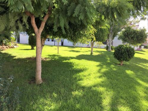 Apartamento Fantasticas Zonas Comunes