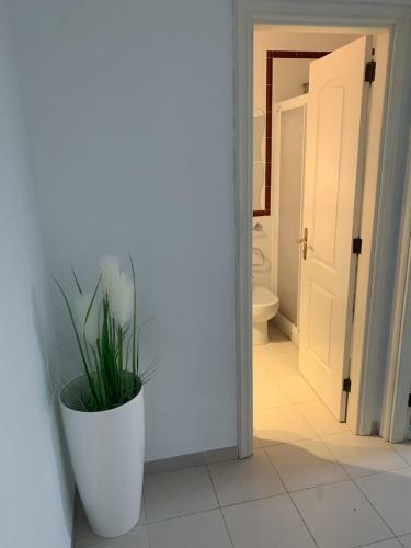 Apartamento Superbe Appartement Avec Vue Sur L Oc�an