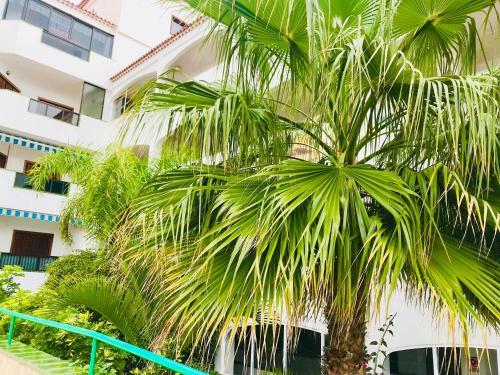 Apartamento Atlantic View - Quiet, Peaceful And Windless Apt With Fantastic Ocean View
