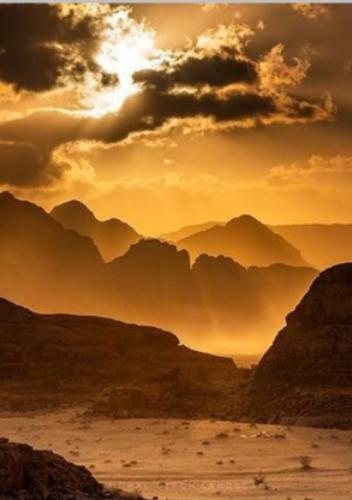 Wadi Rum Watch The Stars