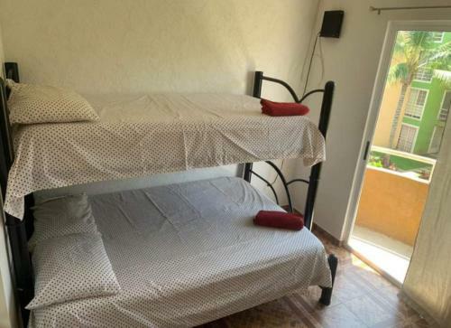 Apartamento Departamento Garzas Wifi Alberca