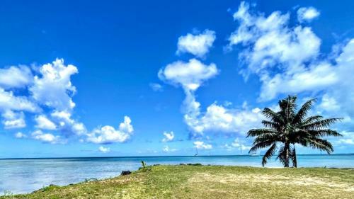 Raiatea - Bungalow Nautilus Lagoon