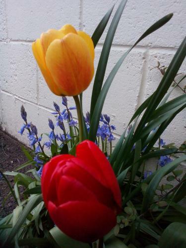 Broomfield House Bed And Breakfast