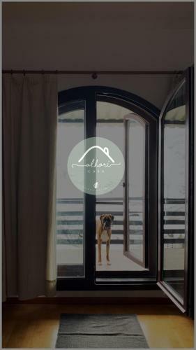 Apartamento Casa Alhor�