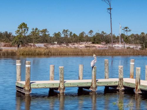 Immaculate Condo Prime Orange Beach Location With Spectacular Views
