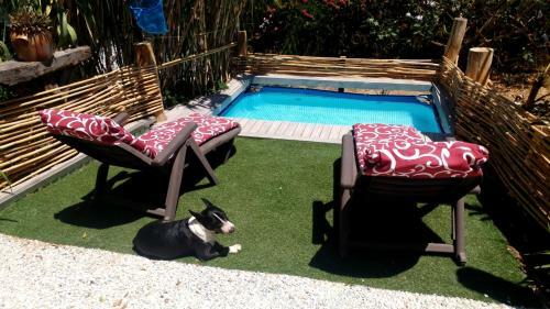 Apartamento Casa Insolita B