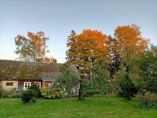 Agroturismo Sepa Farm Stay Room