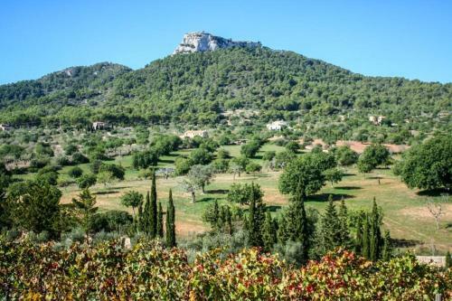 Villa Es Castell de Ca N'alou de Ses Cases Noves