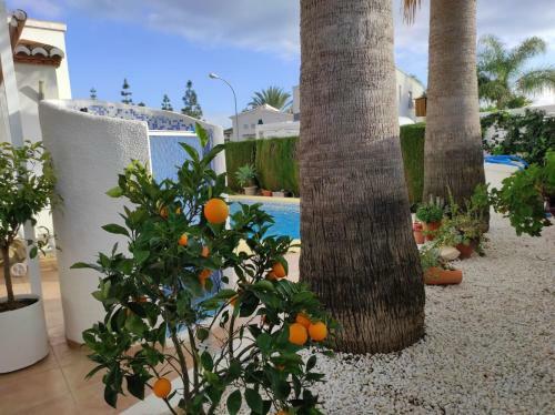 Villa Lilas In Els Poblets