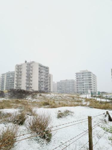 Apartamento Klif Studio 612 La Panne