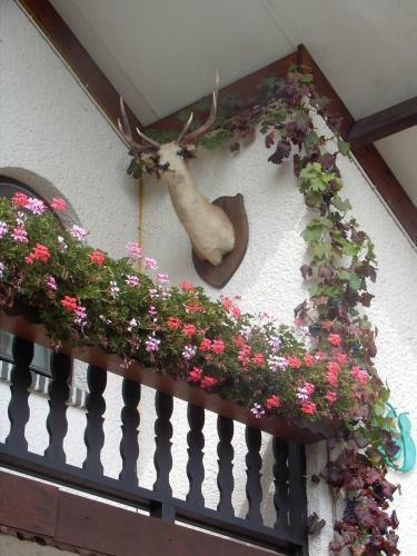 Bed & Breakfast Gasthof Lederhose