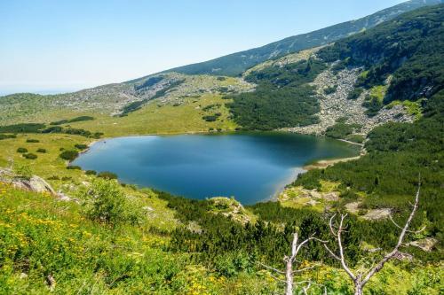 Hostal Guest House Markovi