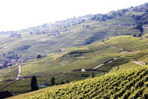 Apartamento Appartement de Standing Dans Le Lavaux