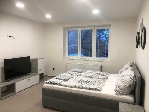 Apartm�ny Koz�kova