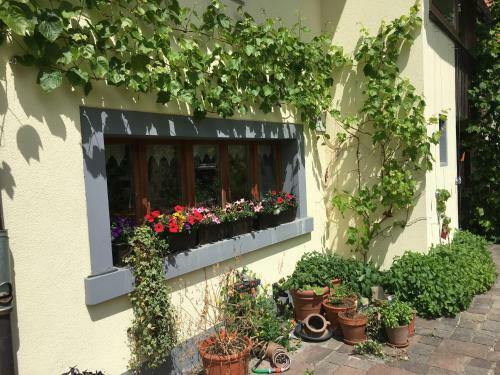 Ferienhaus Mit Naturgarten