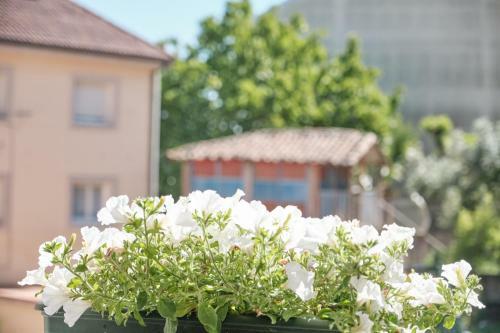 Hostal Peregrina Pension 3