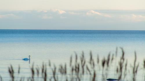 Villa Kuus S�lme - Sea View Holiday Home
