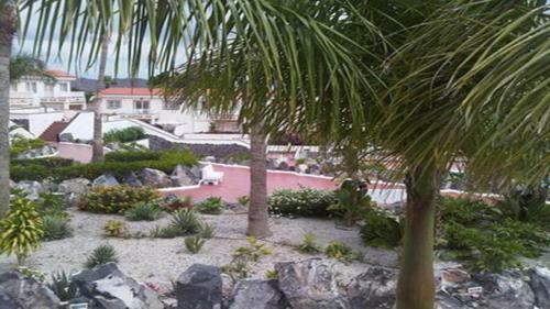 Cute And Relaxing Apartment Over Los Cristianos